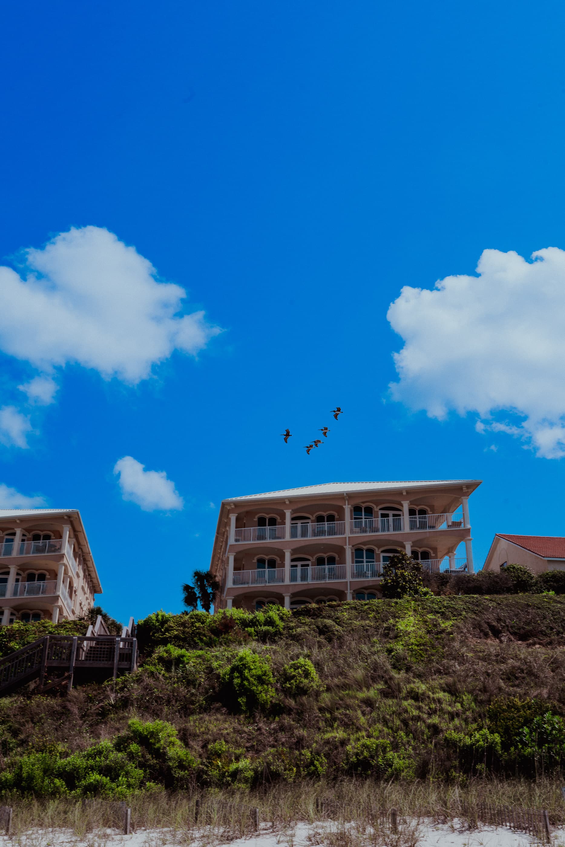 Birds over pastel balconies beneath a bright blue sky